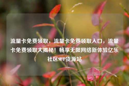 流量卡免费领取，流量卡免费领取入口	，流量卡免费领取大揭秘！畅享无限网络新体验亿乐社区SUP货源站  第1张
