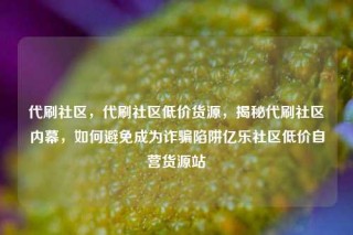 代刷社区，代刷社区低价货源，揭秘代刷社区内幕，如何避免成为诈骗陷阱亿乐社区低价自营货源站