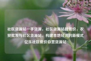 社区货源站一手货源，社区货源站超低价，农贸批发与社区货源站，构建本地经济的新模式亿乐社区低价自营货源站