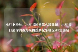 小红书粉丝，小红书粉丝怎么移除掉，小红书，打造你的百万级粉丝梦亿乐社区SUP货源站