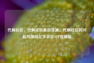 代刷社区，代刷社区低价货源，代刷社区的兴起与挑战亿乐社区SUP货源站