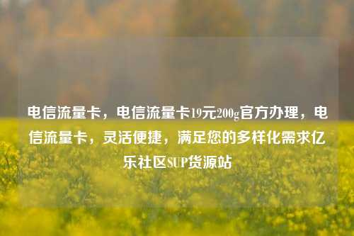 电信流量卡，电信流量卡19元200g官方办理	，电信流量卡，灵活便捷，满足您的多样化需求亿乐社区SUP货源站  第1张