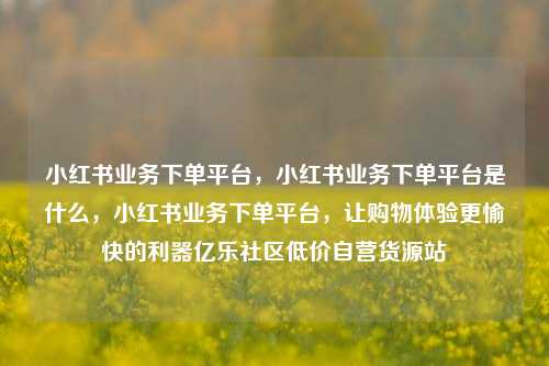 小红书业务下单平台，小红书业务下单平台是什么，小红书业务下单平台	，让购物体验更愉快的利器亿乐社区低价自营货源站  第1张