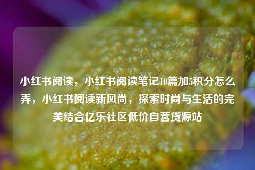 小红书阅读，小红书阅读笔记10篇加5积分怎么弄，小红书阅读新风尚	，探索时尚与生活的完美结合亿乐社区低价自营货源站  第1张