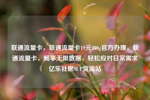 联通流量卡	，联通流量卡19元200g官方办理，联通流量卡，畅享无限数据	，轻松应对日常需求亿乐社区SUP货源站  第1张