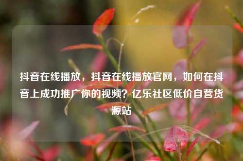 抖音在线播放，抖音在线播放官网，如何在抖音上成功推广你的视频？亿乐社区低价自营货源站  第1张