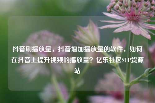 抖音刷播放量，抖音增加播放量的软件，如何在抖音上提升视频的播放量？亿乐社区SUP货源站  第1张