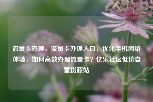 流量卡办理	，流量卡办理入口，优化手机网络体验，如何高效办理流量卡？亿乐社区低价自营货源站  第1张